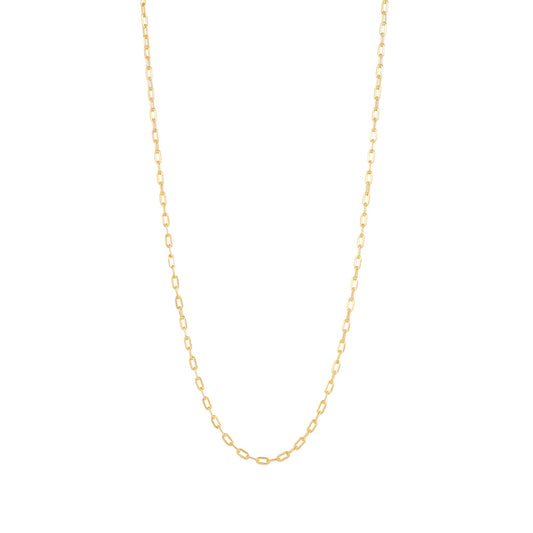 PaperClip Chain Necklace Gold (Small) - Lila Rasa