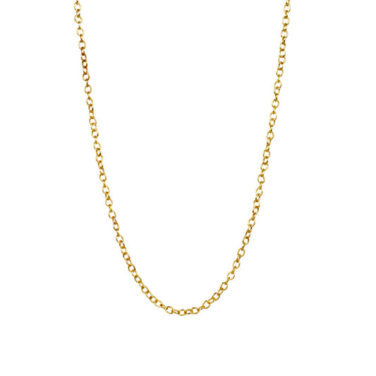 Fine Chain Necklace  Gold - Lila Rasa